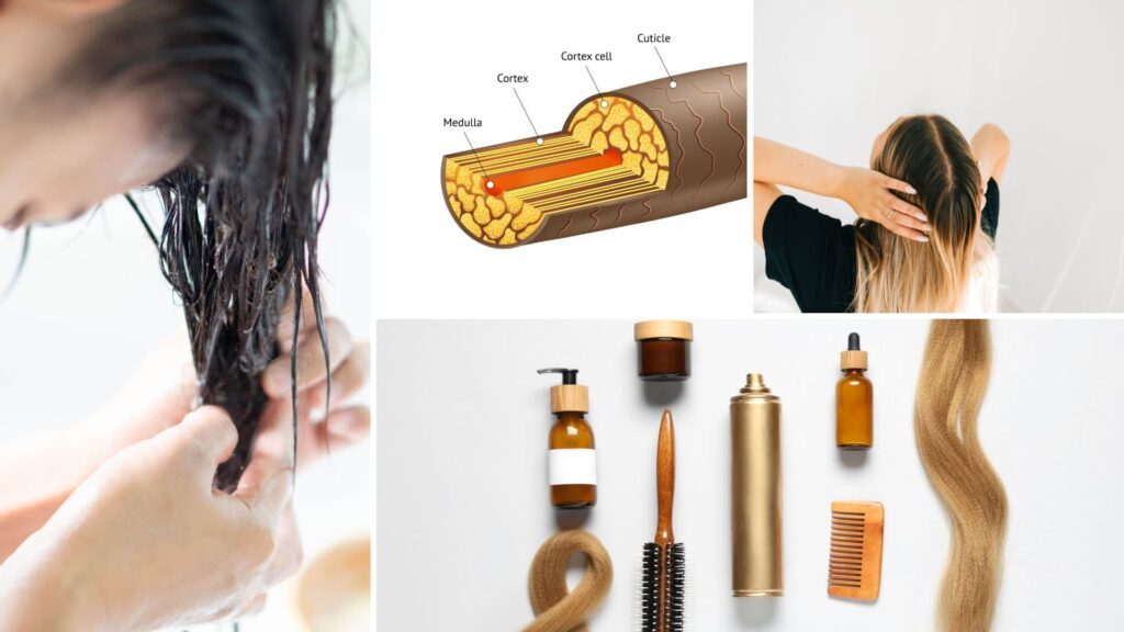 護髮指南特色圖片