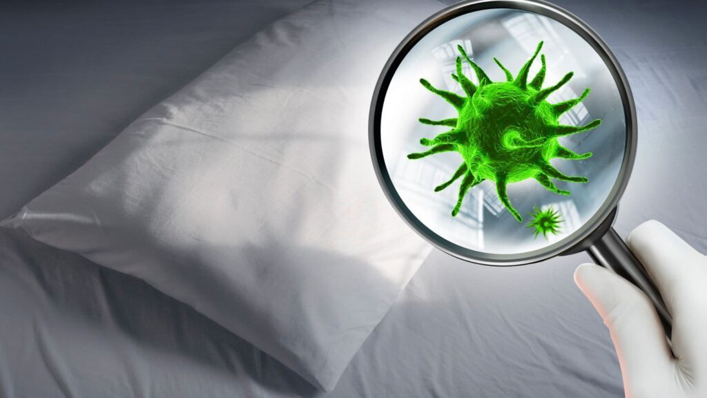 枕頭上有很多細菌