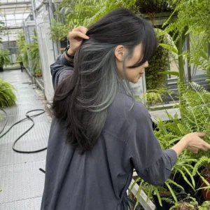 蝴蝶剪長髮，霧薄荷灰耳圈染